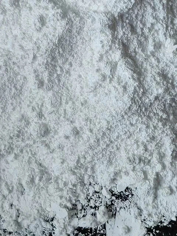 Alumina Polishing Powder 1µm