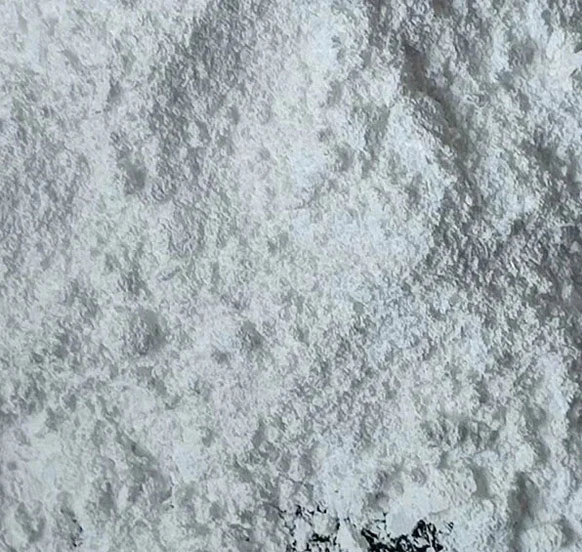 Alumina Polishing Powder 1µm